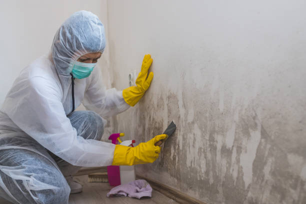 Best Bathroom Mold Remediation in Emporia, KS