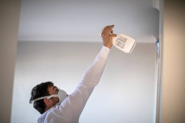 Best Attic Mold Remediation in Emporia, KS