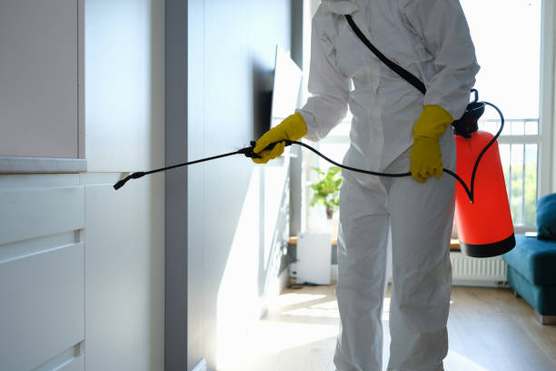 Reliable Emporia, KS Mold Remediation Solutions