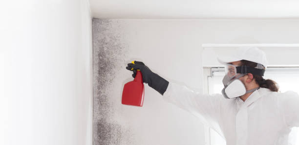 Best Crawl Space Mold Remediation in Emporia, KS