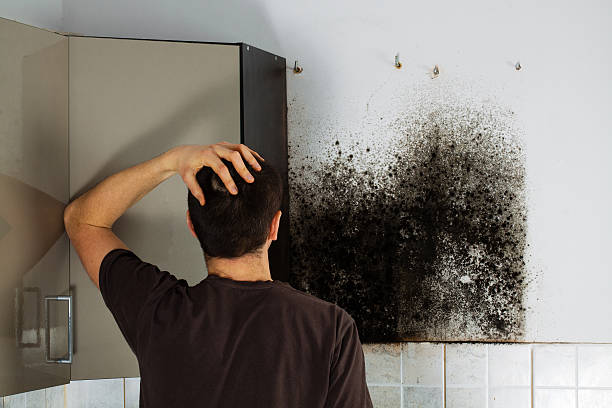 Best HVAC Mold Remediation in Emporia, KS