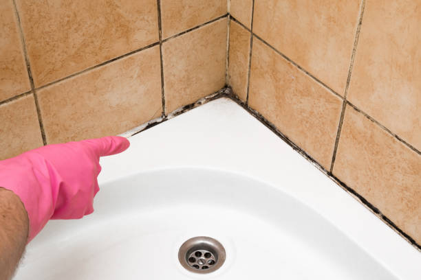Best Emergency Mold Remediation in Emporia, KS